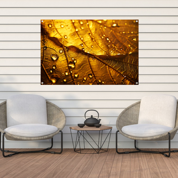 Waterdruppels op goudkleurig blad in detail tuinposter