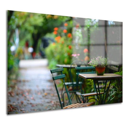 Moderne kamerplant op houten tafel acrylglas