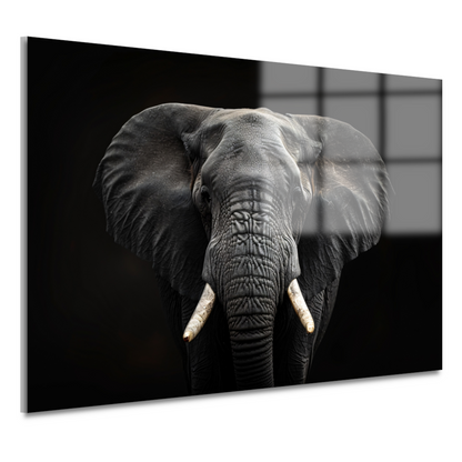 Portret van een Olifant in Zwart-Wit acrylglas
