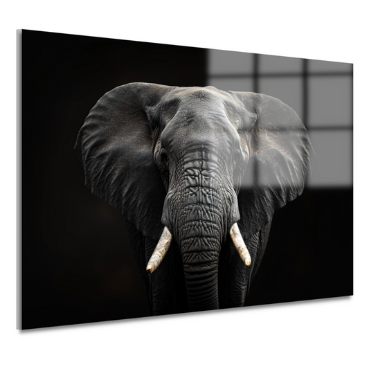 Portret van een Olifant in Zwart-Wit acrylglas