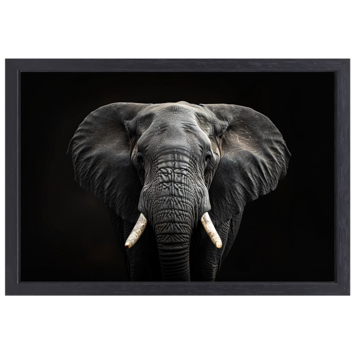 Portret van een Olifant in Zwart-Wit canvas met baklijst