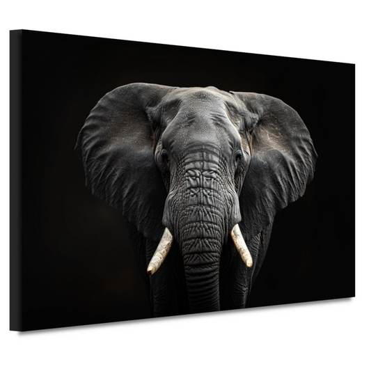 Portret van een Olifant in Zwart-Wit canvas