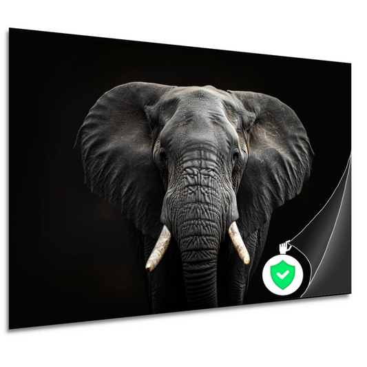Portret van een Olifant in Zwart-Wit poster