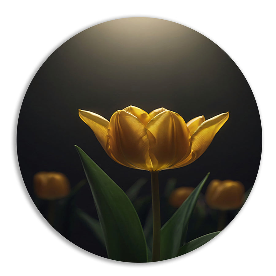 Gloeiende gele tulp in het donker aluminium muurcirkel