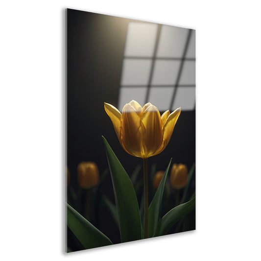 Gloeiende gele tulp in het donker acrylglas