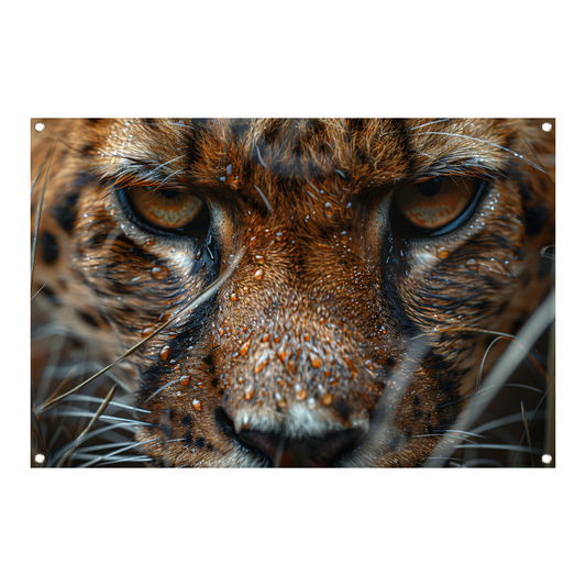 Close-up van natte luipaard met intense blik tuinposter