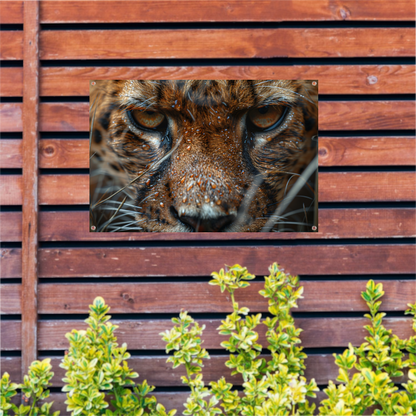Close-up van natte luipaard met intense blik tuinposter