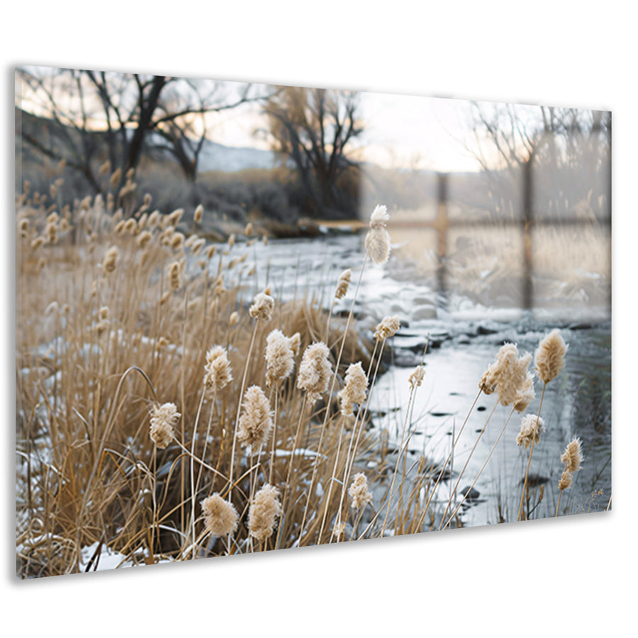 Rustige kreek met planten in herfstkleuren acrylglas