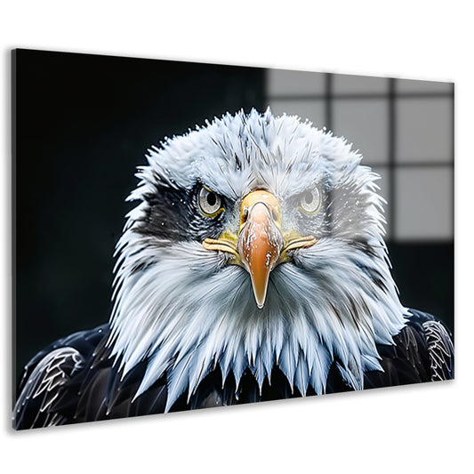 Gedetailleerde close-up van een adelaar acrylglas