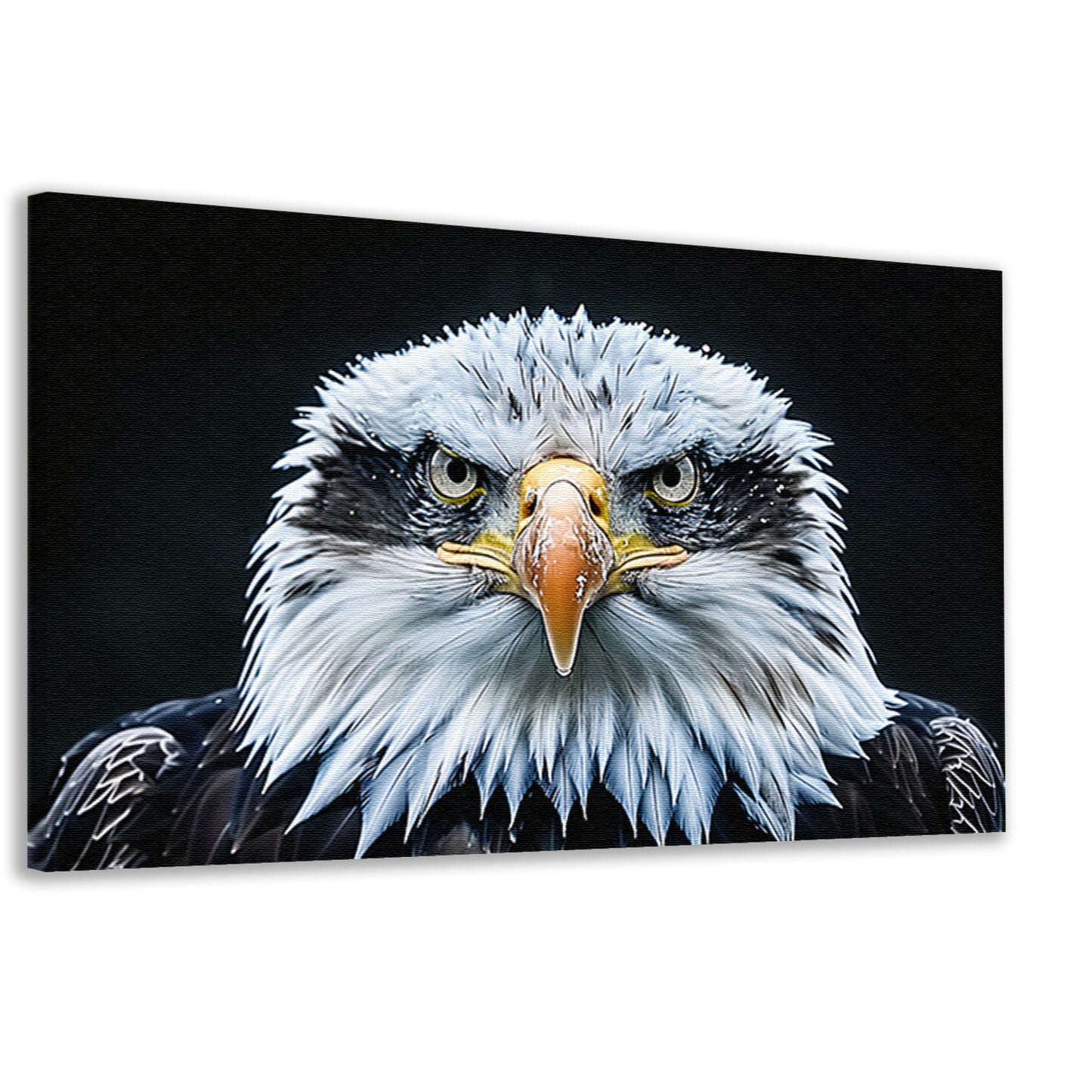Gedetailleerde close-up van een adelaar canvas