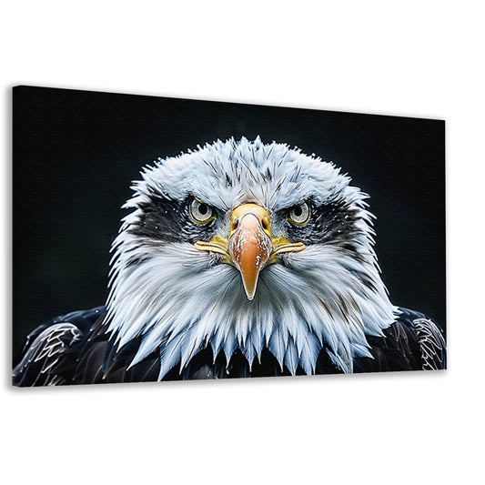 Gedetailleerde close-up van een adelaar canvas