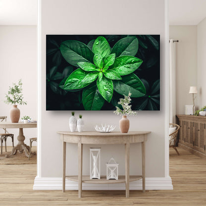 Levendige groene bladeren met dauwdruppels acrylglas