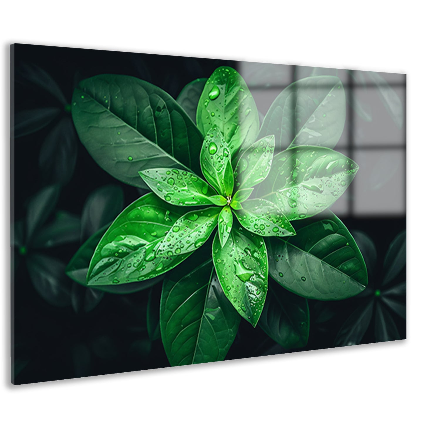 Levendige groene bladeren met dauwdruppels acrylglas