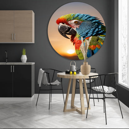 Kleurrijke papegaai bij zonsondergang kunstfoto aluminium muurcirkel