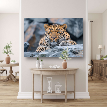 Intense Blik van Bedreigde Amoerluipaard acrylglas