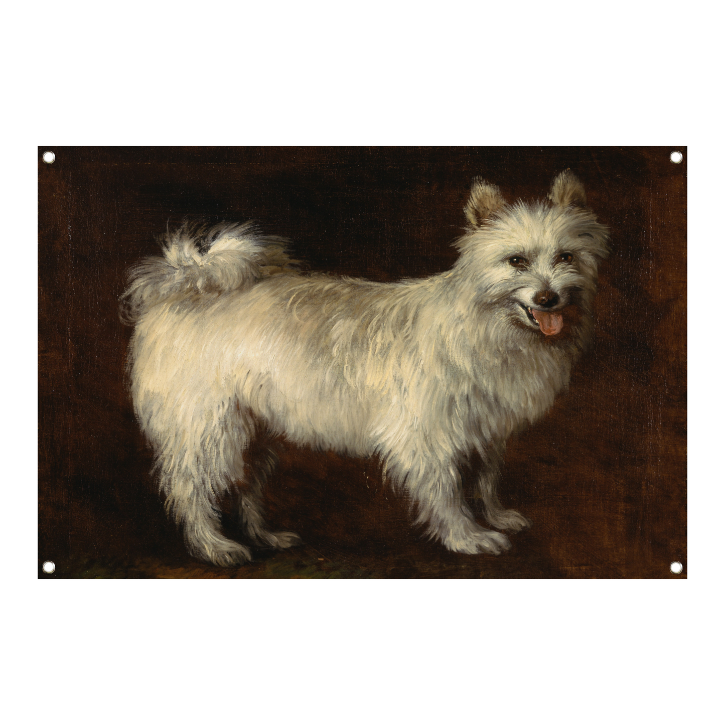 Spits Hond - Thomas Gainsborough tuinposter