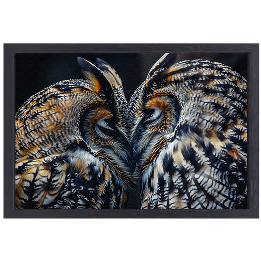 Twee uilen close-up in donkere omgeving canvas met baklijst