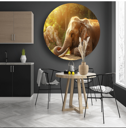 Rustende Olifant in het Gouden Zonlicht forex muurcirkel