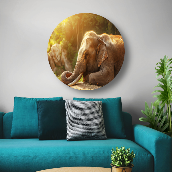 Rustende Olifant in het Gouden Zonlicht aluminium muurcirkel