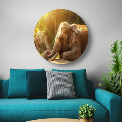 Rustende Olifant in het Gouden Zonlicht aluminium muurcirkel