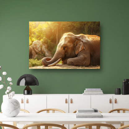 Rustende Olifant in het Gouden Zonlicht canvas