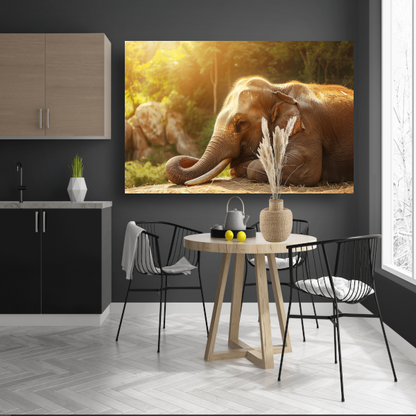 Rustende Olifant in het Gouden Zonlicht canvas