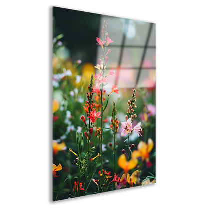 Kleurrijke Bloemenweide in Zomerlicht acrylglas