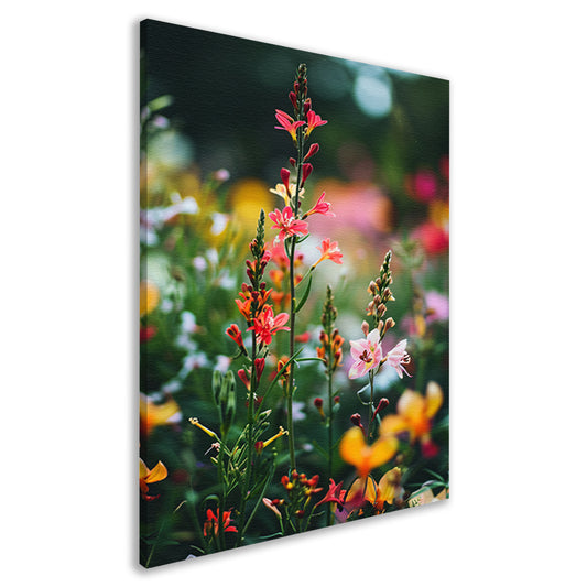 Kleurrijke Bloemenweide in Zomerlicht canvas