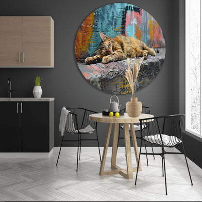 Slapende kat bij gekleurde muur aluminium muurcirkel