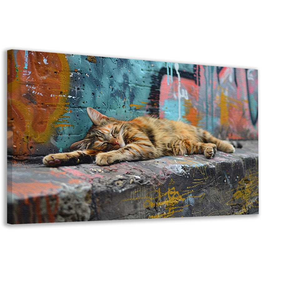 Slapende kat bij gekleurde muur canvas