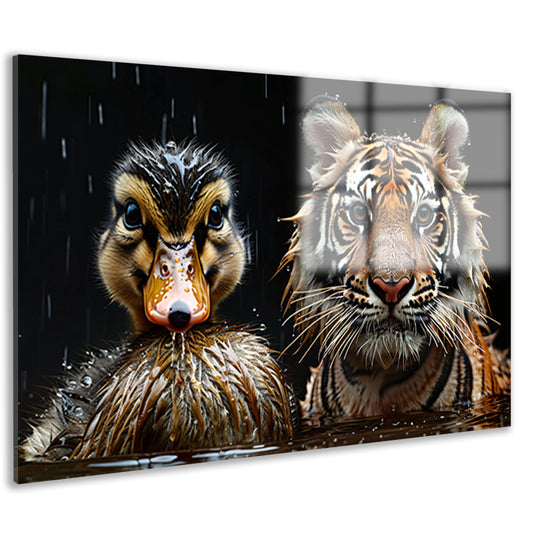 Tijger en eend in harmonie acrylglas