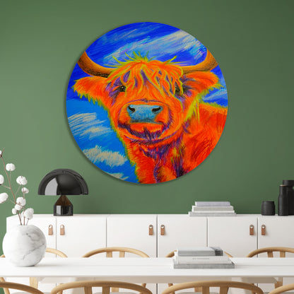 Kleurrijke moderne schilderij van Schotse Hooglander aluminium muurcirkel