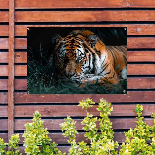 Majestueuze tijger in natuurlijke omgeving tuinposter