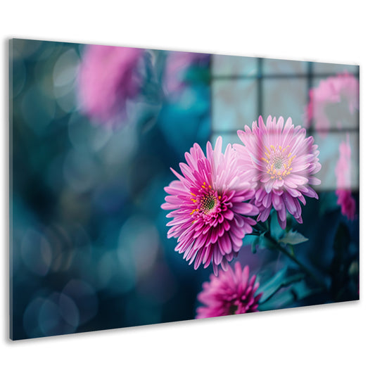 Close-up van roze bloemen met achtergrond   acrylglas