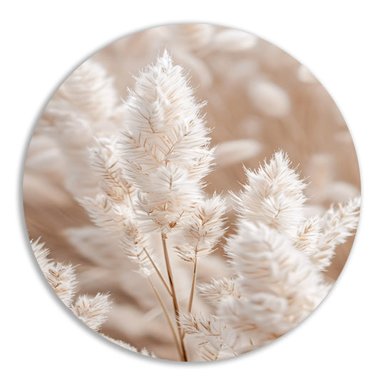 Close-up van Beige Aar Pluimen forex muurcirkel