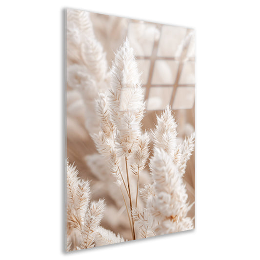 Close-up van Beige Aar Pluimen acrylglas