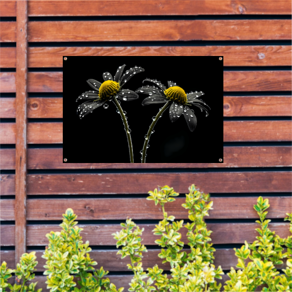 Zwart-wit bloemen met waterdruppels tuinposter