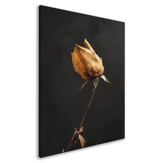 Verwelkte Roos in Monochrome Stilte canvas