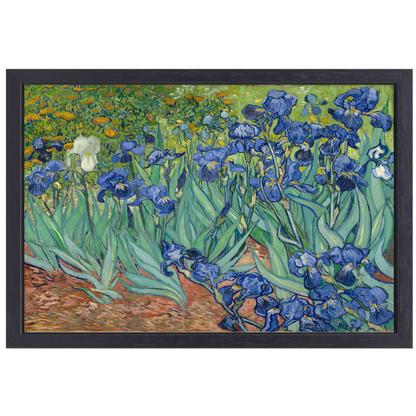 Irissen - Vincent van Gogh canvas met baklijst
