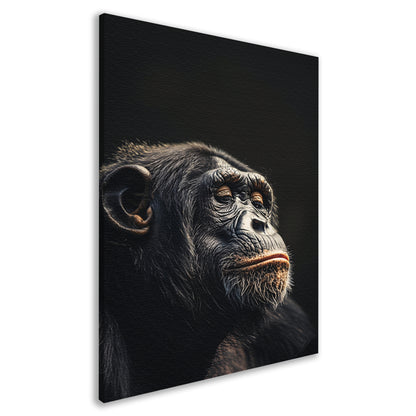 Indringende blik van een wijze chimpansee   canvas