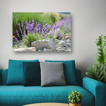 Lavendelbloemen in bloei naast grijsbruine rotsen poster