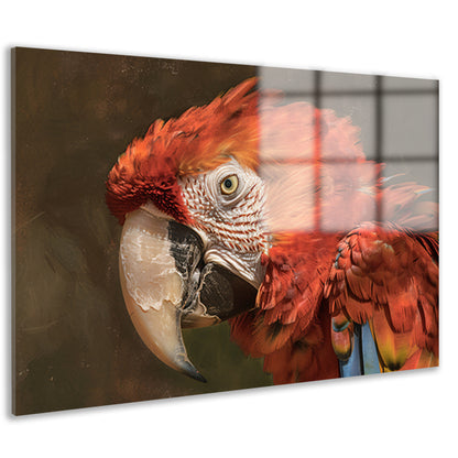 Realistisch schilderij van kleurrijke papegaai acrylglas