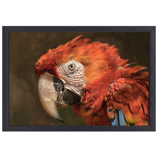 Realistisch schilderij van kleurrijke papegaai canvas met baklijst