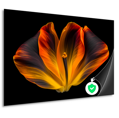 Close-up van een tulp in bloei poster