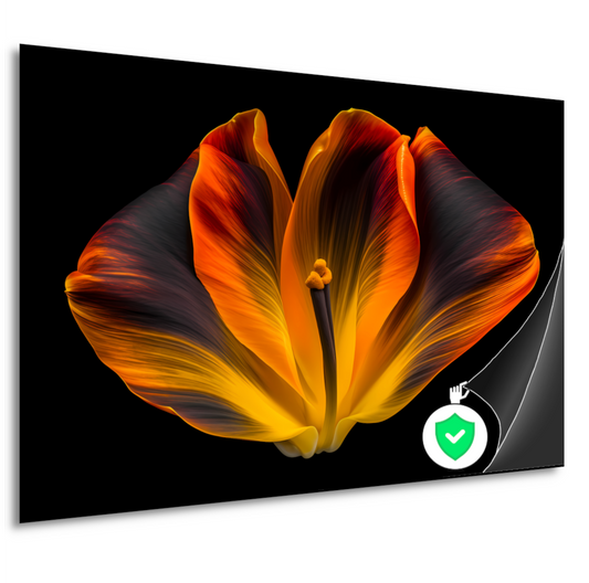 Close-up van een tulp in bloei poster