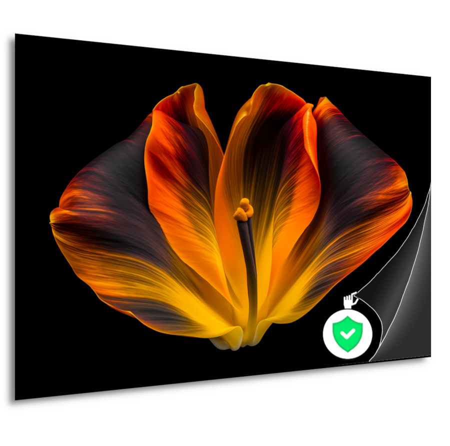 Close-up van een tulp in bloei poster