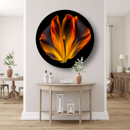 Close-up van een tulp in bloei aluminium muurcirkel