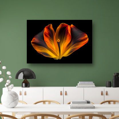 Close-up van een tulp in bloei canvas met baklijst