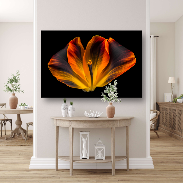 Close-up van een tulp in bloei canvas met baklijst