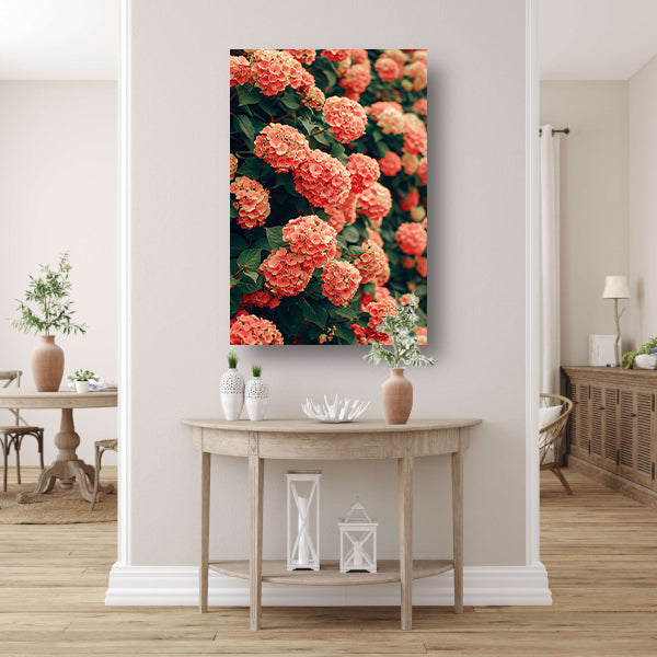 Bloeiende Roze Hortensia in Volle Glorie canvas met baklijst